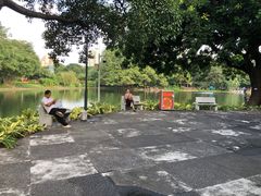 -晓港公园