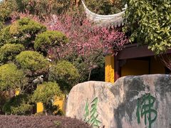 -圆通寺