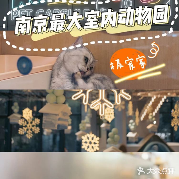 超大宠物乐园任你玩