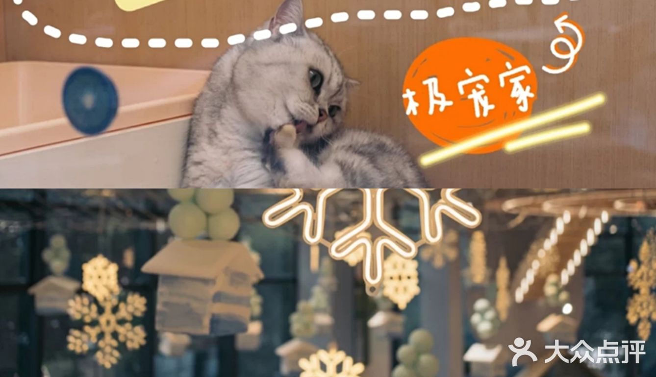 超大宠物乐园任你玩