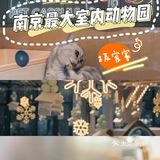 超大宠物乐园任你玩