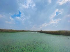 -宁波杭州湾国家湿地公园