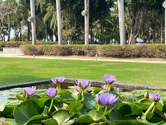 -三亚海棠湾万丽度假酒店