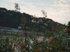 -葛仙湖公园