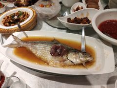 清蒸鲥鱼-走马楼饭庄(慈城古县城店)