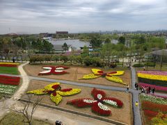 -杭州湾海上花田景区