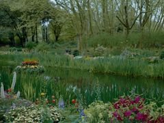 -上海共青森林公园