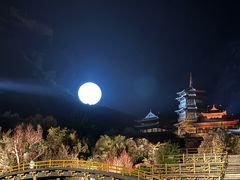 -禅宗少林·音乐大典