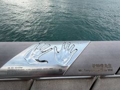 -星光大道