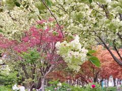 -江南大学(蠡湖校区)