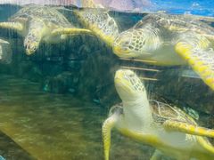 -福州罗源湾海洋世界旅游区