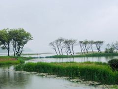 -东钱湖旅游度假区