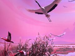 -中国湿地博物馆