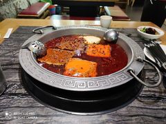 -杨肥肠火锅大排档(火车站花园店)