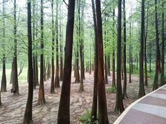 -广州市帽峰山景区