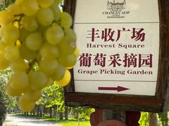 -北京张裕爱斐堡酒庄
