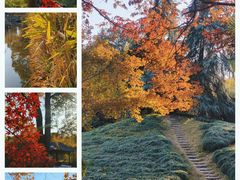 -泰州凤城河风景区-泰山公园