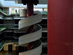 -健身专家Wellness Experts