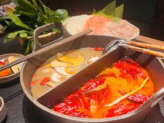 -大龙燚·旷野鲜火锅(广州首店)