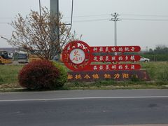 -田园东方蜜桃村的田野营地