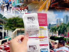 -Big Bus Tours 敞篷观光巴士