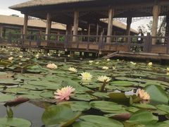 -白鹭湾湿地公园