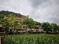 -红山村