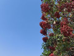 -塔子山公园
