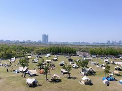 -春花秋色城市公园