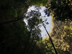 -中岜朗天坑(CV GEO INDO RAYA)