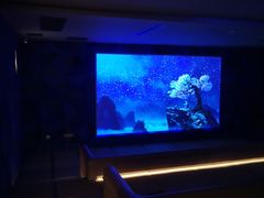 -山水温泉