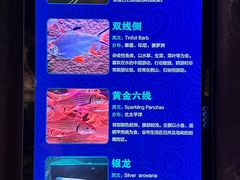 -波塞冬海底世界