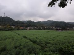 -红山村