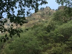 上方山国家森林公园-北京上方山国家森林公园