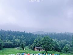 -武陵山森林公园