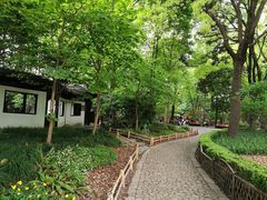 -汇龙潭