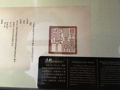 -青岛德国总督楼旧址博物馆