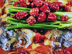 -鸽子侯·家宴·平价海鲜(市图书馆店)