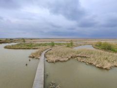 -盐城丹顶鹤湿地生态旅游区