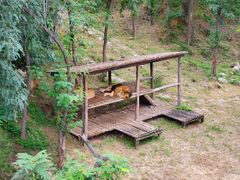 -石家庄市动物园