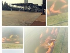 -北京奥林匹克公园