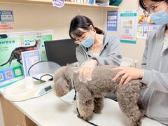 -安安宠医·臻爱宠物医院·宠保定点(营门口路分院)