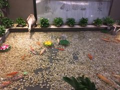 -合和大唐(福永店)