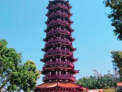 -大雁山风景区