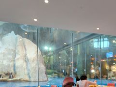 -帝企鹅自助餐厅•儿童岛•真企鹅(长隆企鹅酒店)