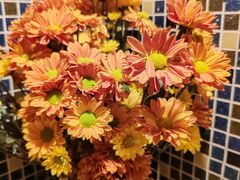 -绝城芋儿鸡(犀浦旗舰店)