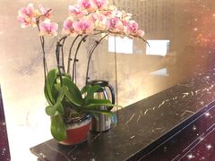 -华夏良子·足道SPA艾灸(王府井店)