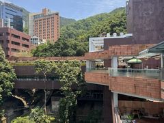 -香港大学