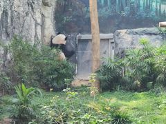 -石排湾郊野公园
