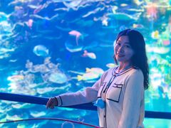 -泉城欧乐堡海洋极地世界